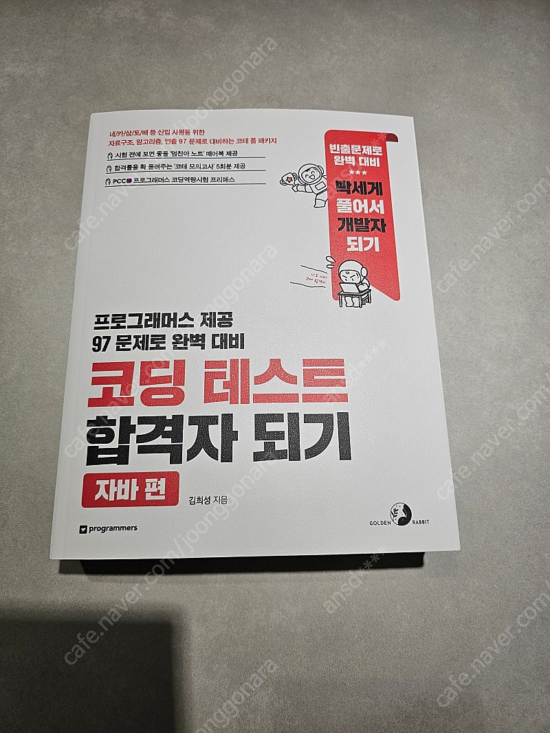 코딩테스트 합격자되기 새책