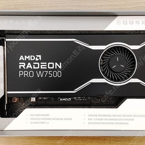 AMD 라데온 PRO W7500 D6 8GB 팝니다