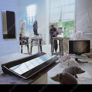 B&O 베오랩 5000 액자형 액티브 3way 스피커 Bang & Olufsen Beolab