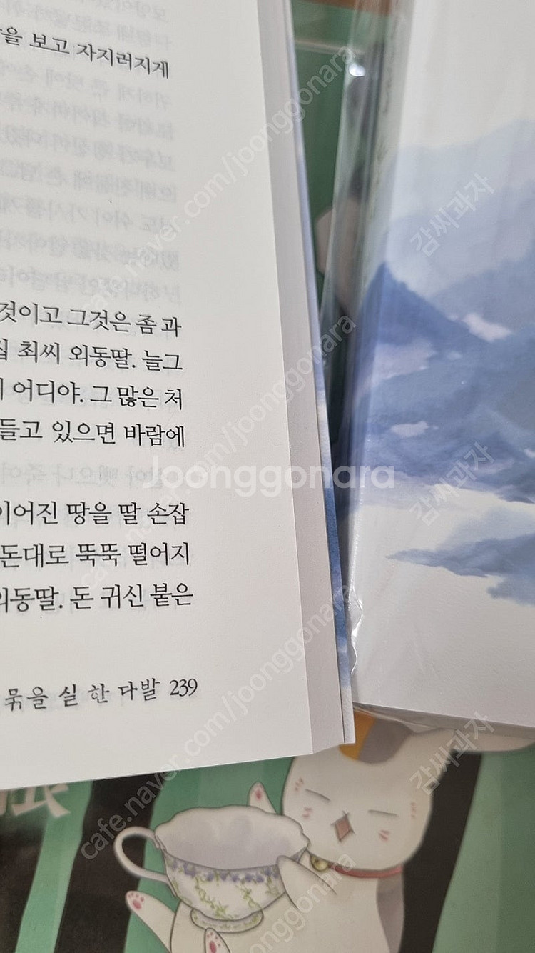 까비까비도까비 푸른산청의 도까비 마법수프--4