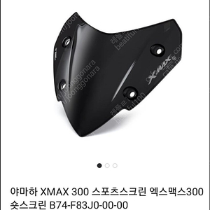 엑스맥스300 스포츠스크린