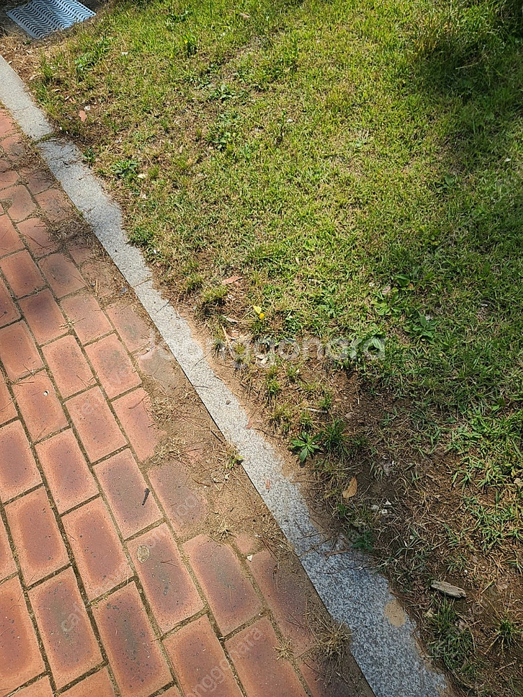 도그마2 3만 삽니다--0