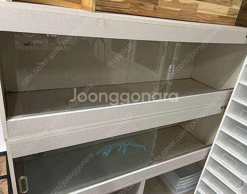 5자 자온조 사육장 판매합니다~--0