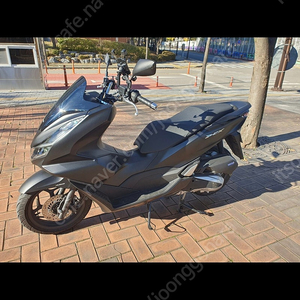 PCX125 2023 블랙 ABS