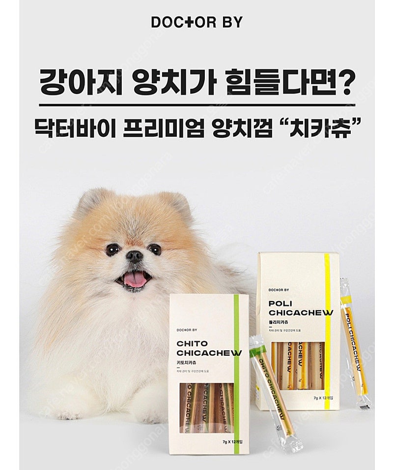 강아지 애견 닥터바이양치껌 키토치카츄 치석제거