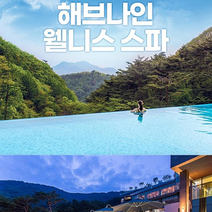 해브나인/스플라스 리솜/롯데월드/워터피아/여수 디오션워터파크/경주월드