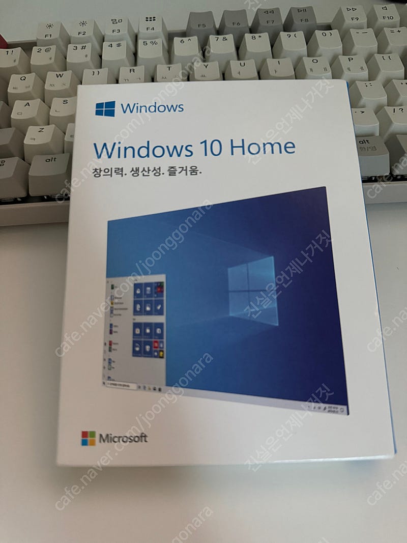 윈도우 홈 Windows 10 Home 정품 FPP