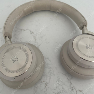 Bang and olufsen hx