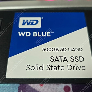 WD BLUE 500기가