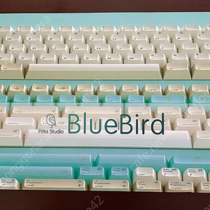 pitta studio bluebird dsa 키캡