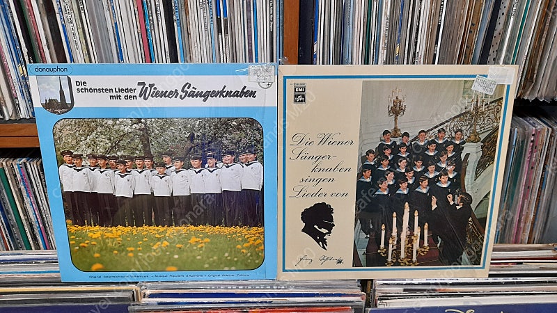 LP -빈 소년 합창단 VIENNA BOYS`CHOIR (WIENER SANGERKNABEN) 수입원반 2장