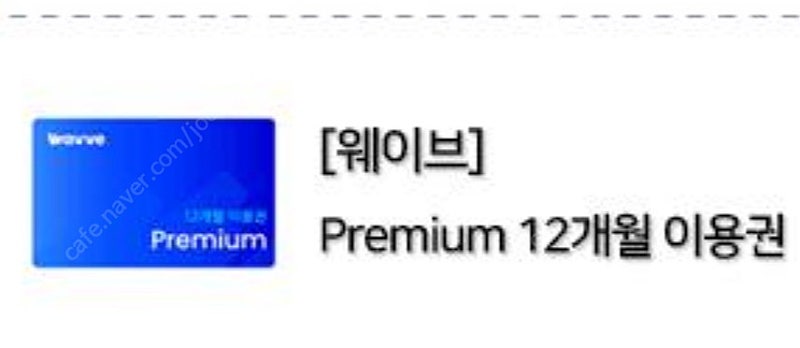 [웨이브] Premium 12개월(1년) 연간이용권