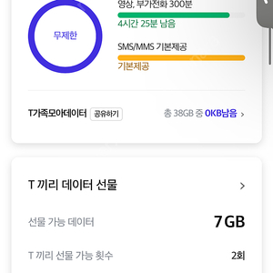 skt데이터 1기가 판매