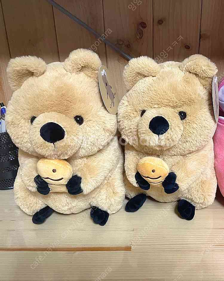 쿼카 인형--0