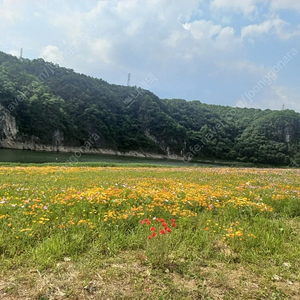 스타벅스 오늘도 달콤하게, 아메리카노