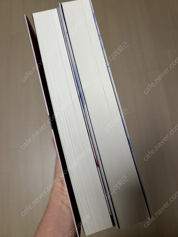 로맨스소설 몽슈 개인지 머디써머 이미지