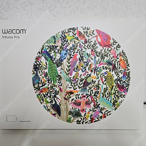 와콤 wacom 인투어스 프로 pth-660