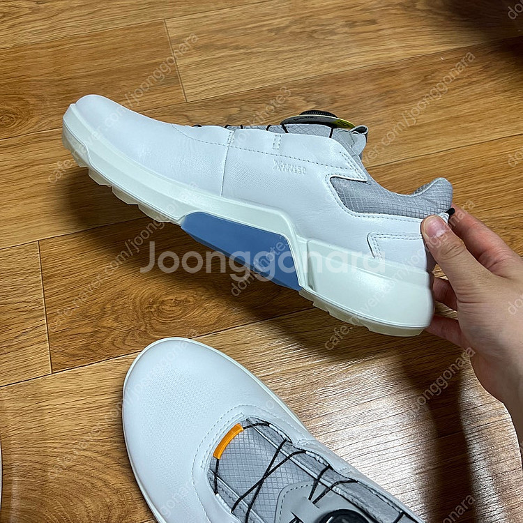 정품 에코 골프화 (BIOM H4) 255mm 팝니다--3