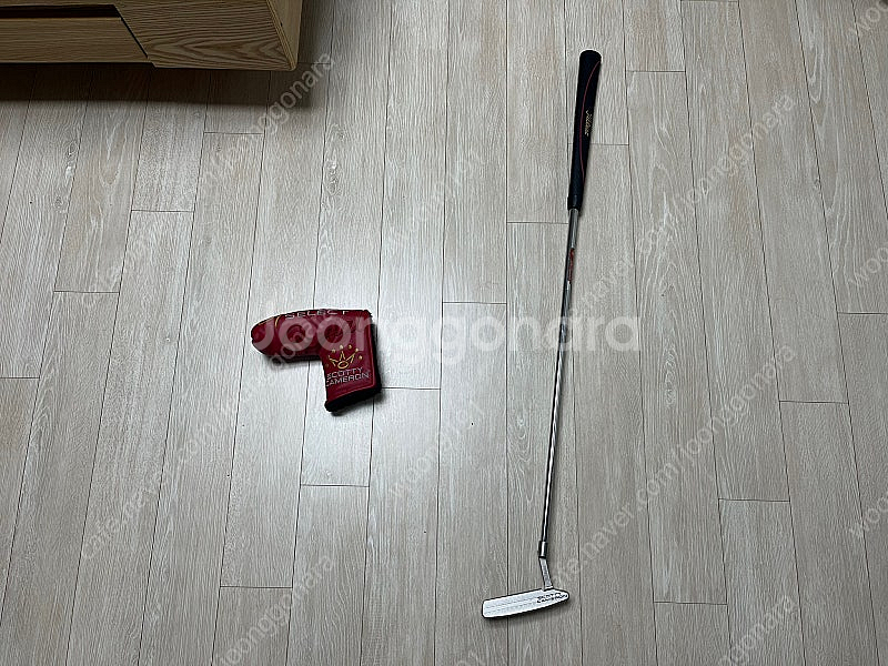 스카티카메론 스퀘어백 팝니다--0