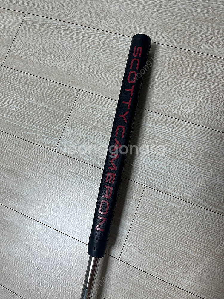 스카티카메론 스퀘어백 팝니다--3