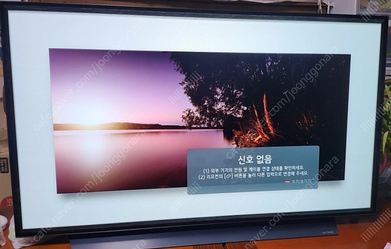 LG OLED 48C1ENA TV판매