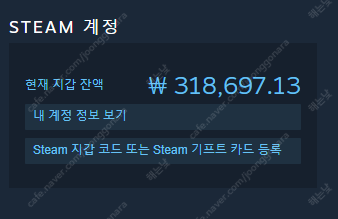 스팀월렛 31만원 80% 판매