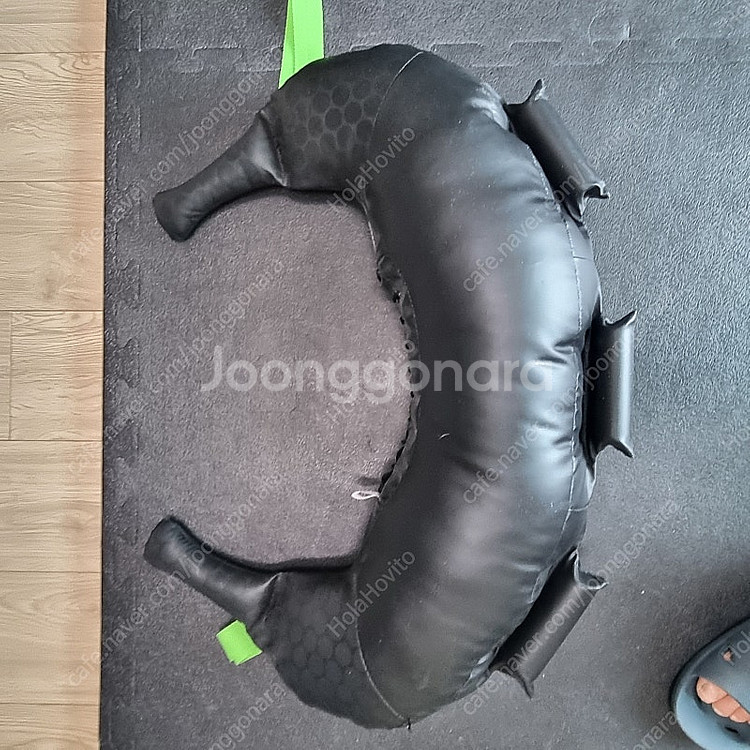 바디컨트롤 불가리안백 8kg--1