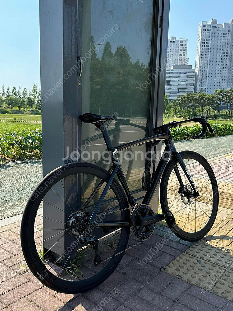 스페셜라이즈드 타막 익스퍼트 2022 sl7--2
