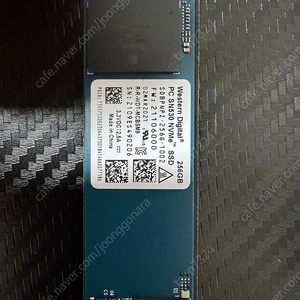 wd nvme ssd 256gb 택포판매