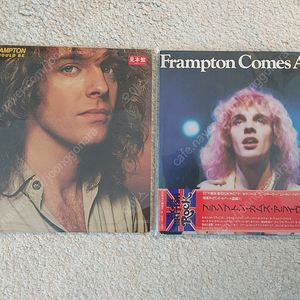 피터 프램튼 Peter Frampton 수입 엘피 LP