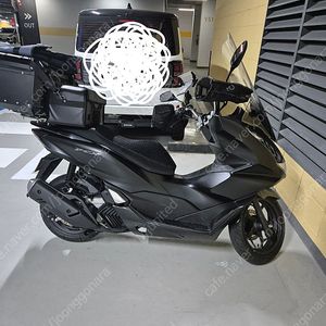 24년식 pcx125 팝니다