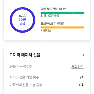 7월 SKT 데이터 2기가 판매합니다