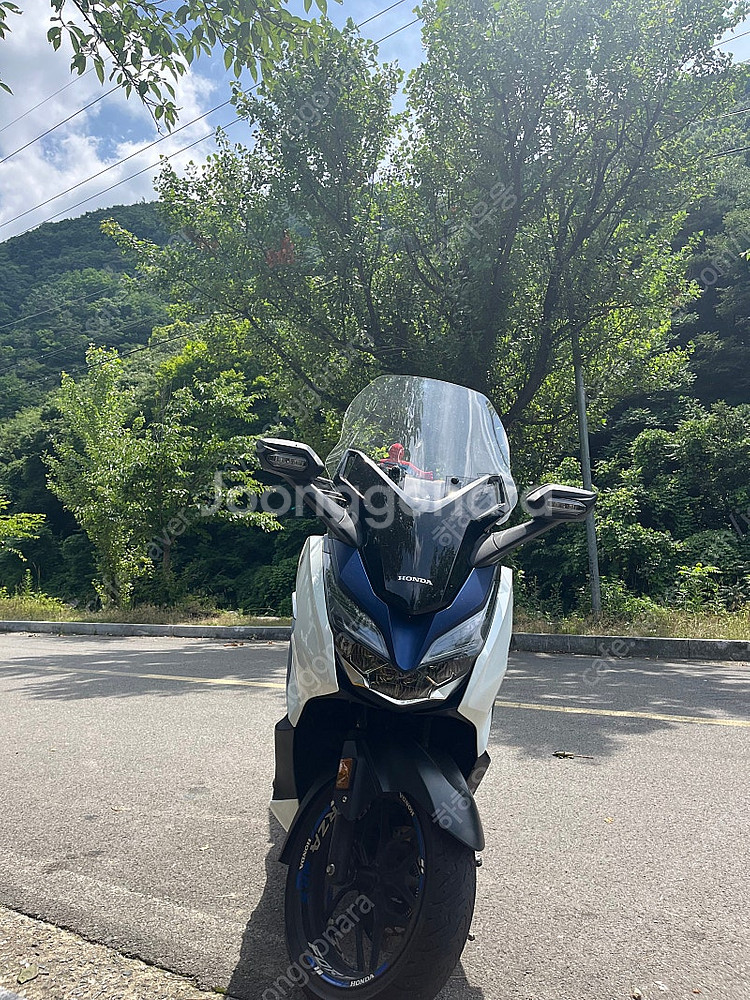 혼다 포르자 300cc--0