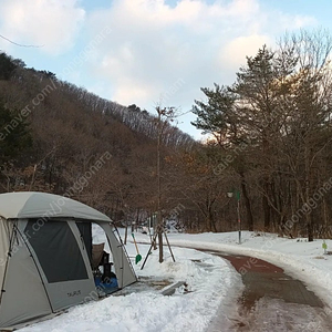 타우르스 판매합니다