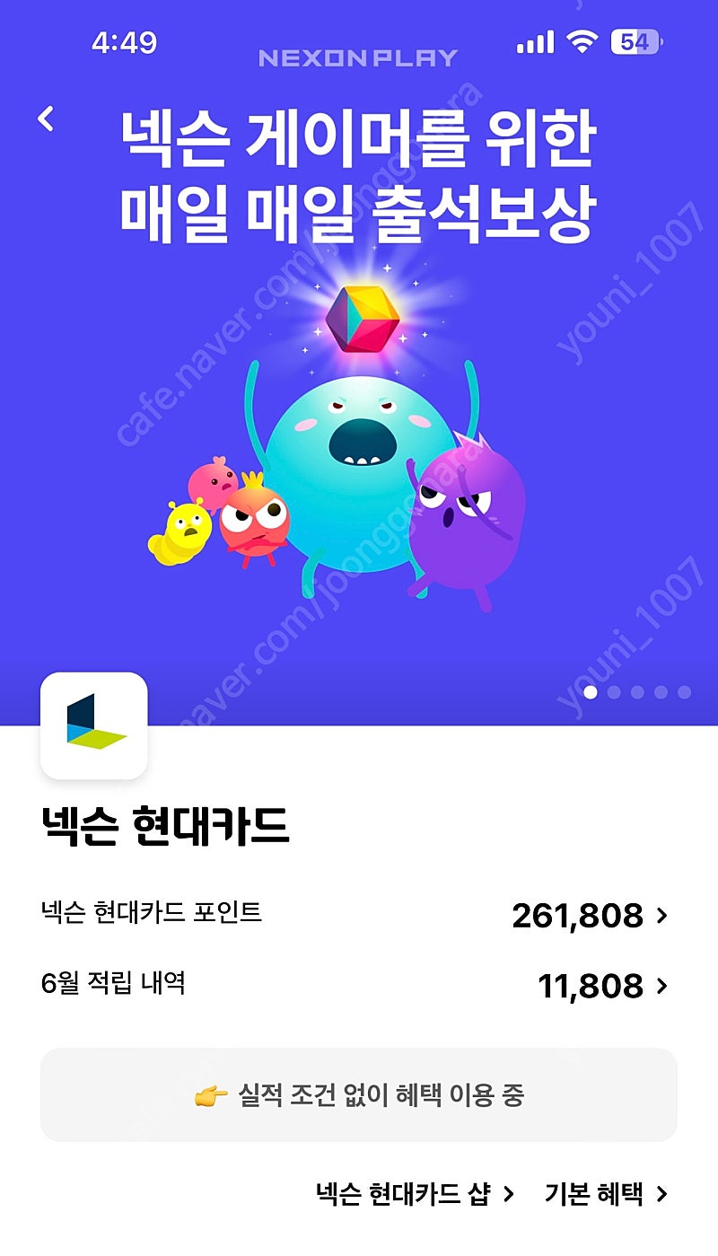 넥슨캐시 261500포인트