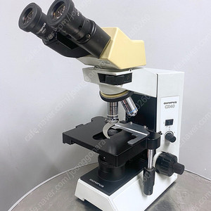 OLYMPUS 올림푸스 현미경 CX40