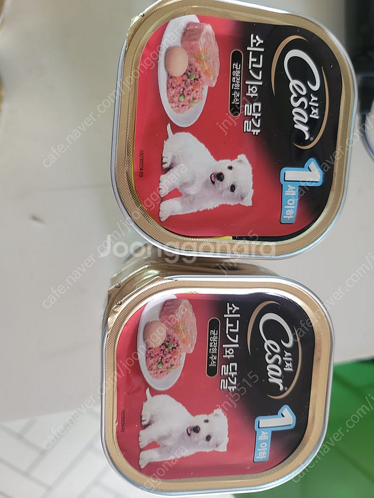 강아지시저캔 퍼피시저캔--0