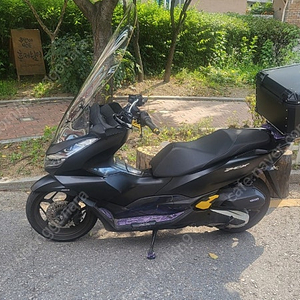 PCX125 ABS 22년형 신차급 폐지완료