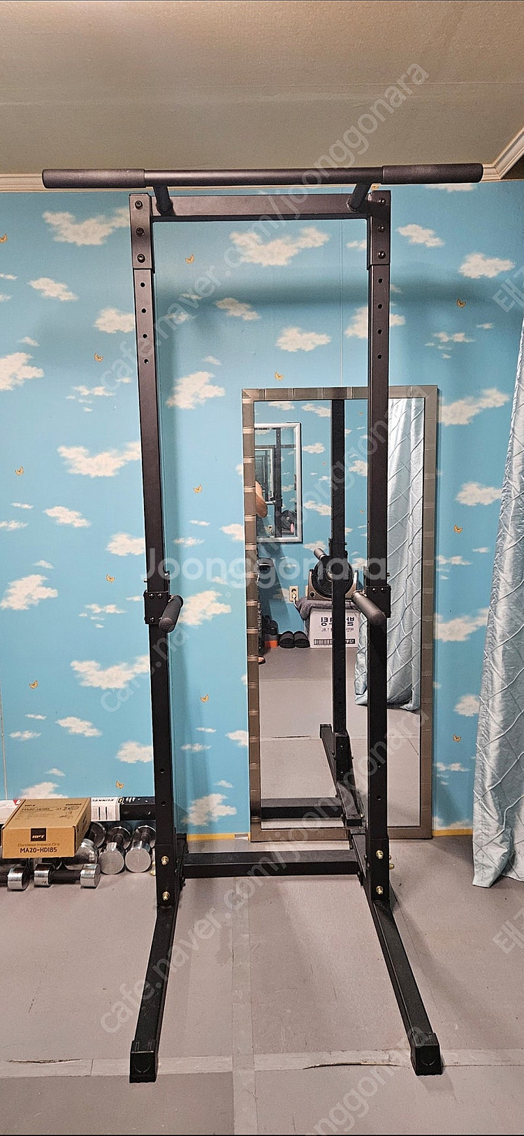 차칸철봉2 플렛바 치닝디핑 철봉 턱걸이 딥스 운동기구 ...--0