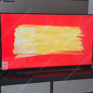 LG 올레드 48인치 4K UHD 스마트 OLED TV (새패널)