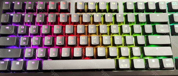 체리 기계식키보드 CHERRY G80-3000S RGB TKL (블랙, 적축)