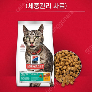 힐스 고양이사료 어덜트 퍼펙트 웨이트 6.8 kg