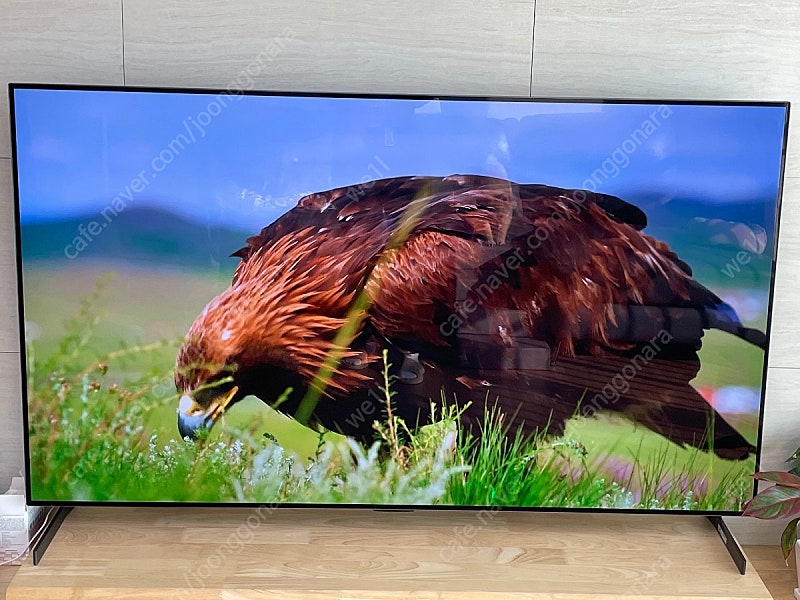 LG 올레드 65인치 갤러리 OLED TV (스탠드+벽걸이+화면보호기)