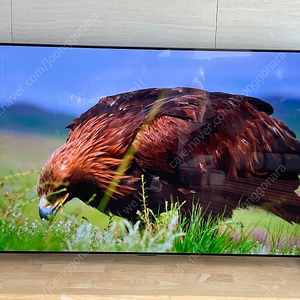 LG 올레드 65인치 갤러리 OLED TV (스탠드+벽걸이+화면보호기)