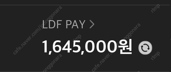 Ldf Pay