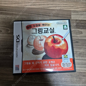 닌텐도 ds dsi 2ds 3ds 그림교실