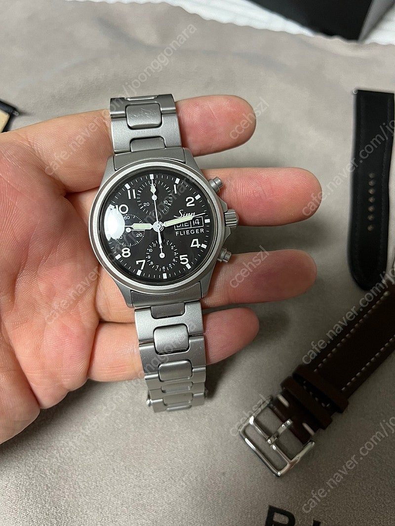 sinn 356 진 356