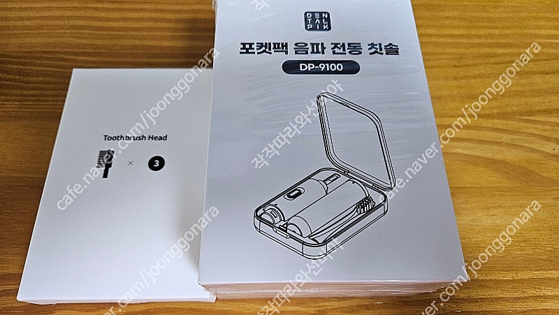 덴탈픽 DP-9100 포켓팩 음파 전동칫솔