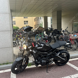 2016년식 xsr900