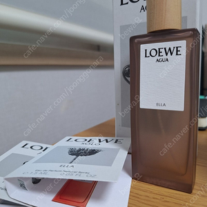 로에베 아구아 엘라 50ml